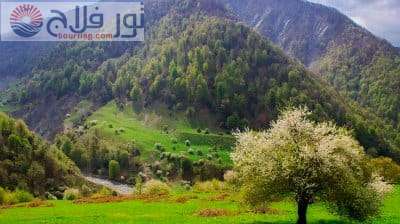 السياحة في غابالا
