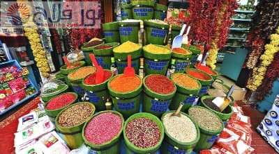 تركيا فتحيه