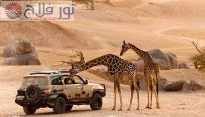 حديقة حيوان العين السياحة في الإمارات