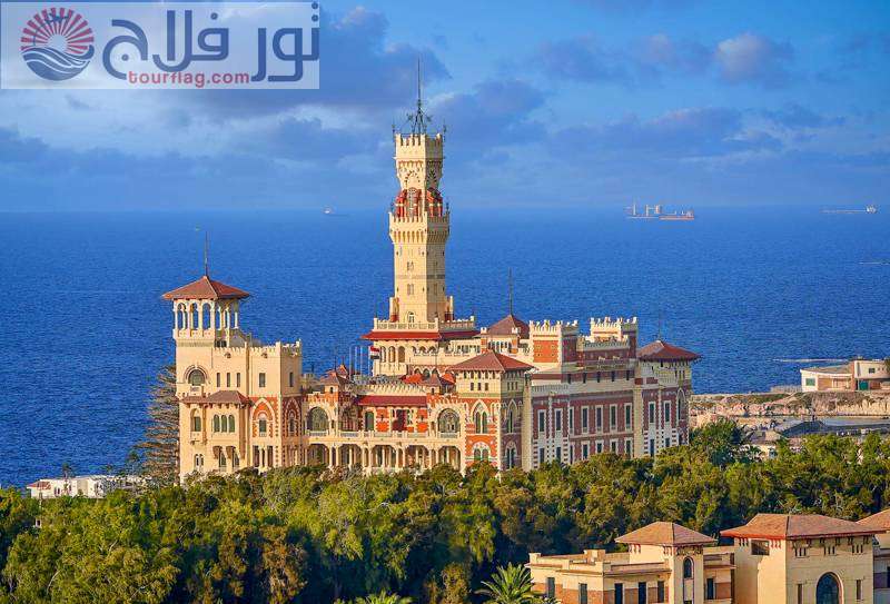 السياحة في الإسكندرية وأجمل 26 مكان يمكنك زيارته بالأسعار  تور فلاج