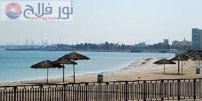 شواطئ المملكه العربيه السعوديه