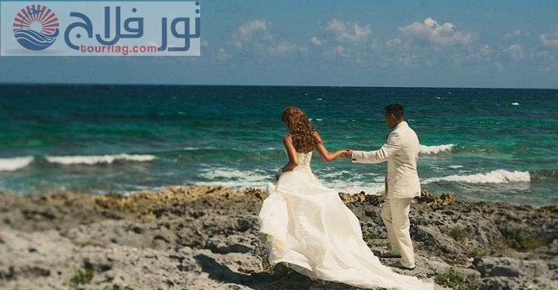 شهر العسل