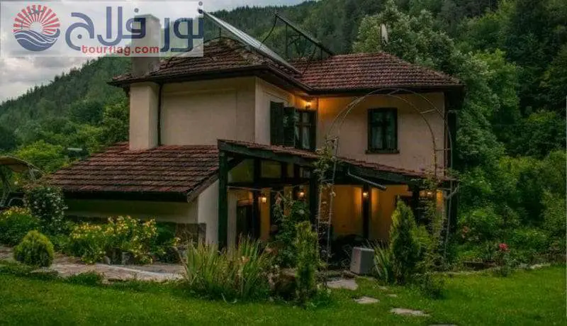 نصائح السفر من علي 