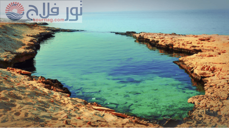 بحيرة النيزك - مرسى علم رحلات مرسى علم
