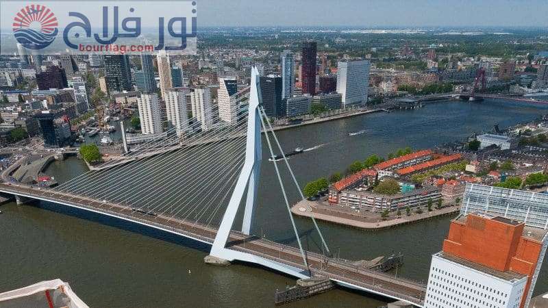 جسر ايراسموس السياحة في روتردام