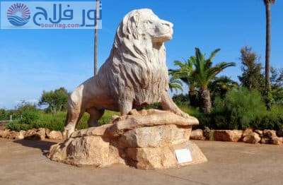 حديقة الحيوان بالرباط سياحه في المغرب