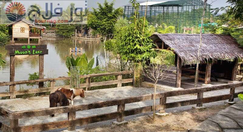 حديقة المزرعة في المدينة السياحة في بوتراجايا ماليزيا