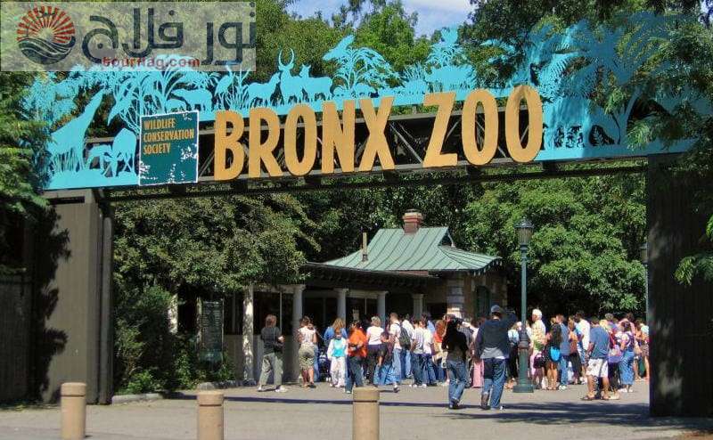 حديقة حيوانات برونكس رحلات نيويورك امريكا