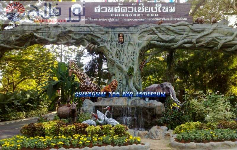 حديقة حيوانات شنغماي سياحه تايلاند