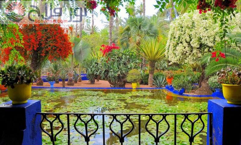 حديقة ماجوريل حدائق مراكش المغرب