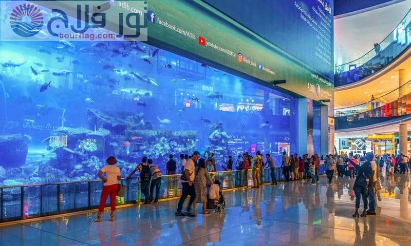 دبي أكواريوم وحديقة الحيوانات المائية سياحه في دبي امارات