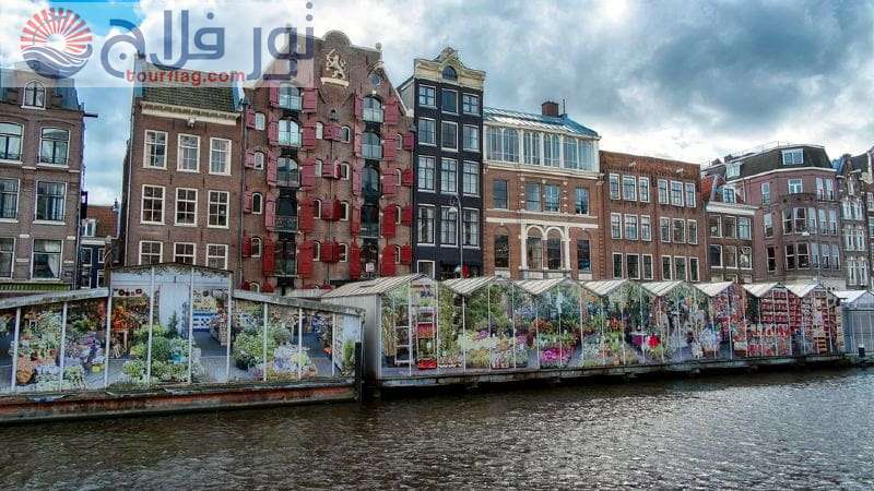 سوق الزهور العائم السياحة في امستردام 