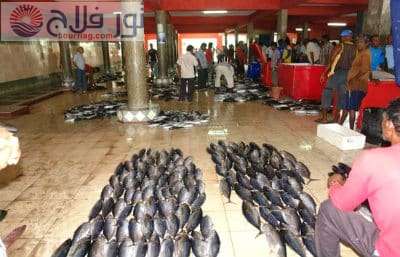 سوق السمك بماليه رحلات المالديف