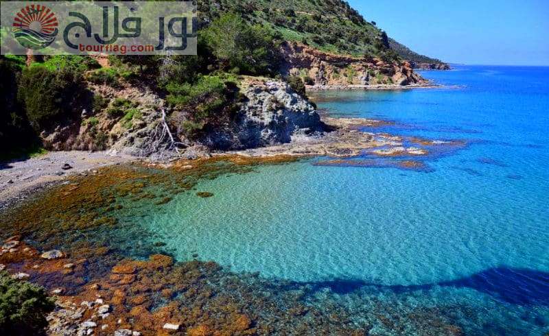 شبه جزيرة أكاماس جزر قبرص السياحية