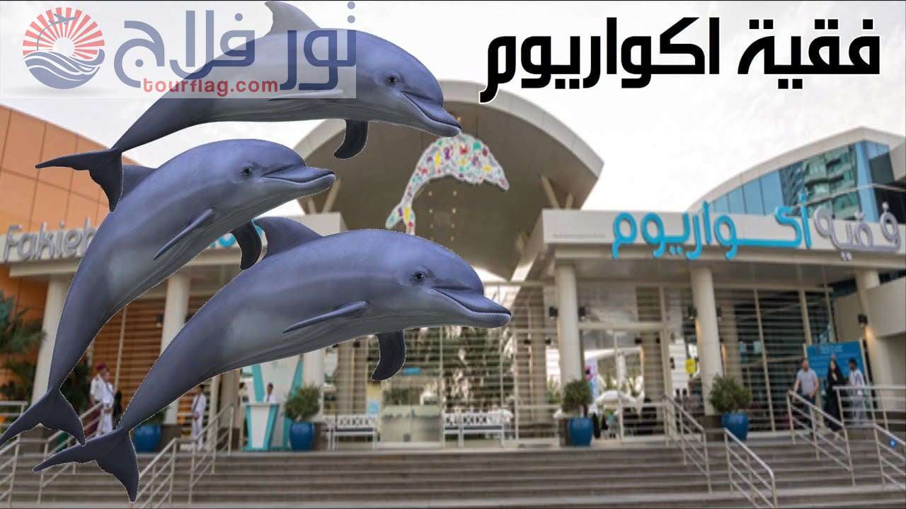 فقيه أكواريوم