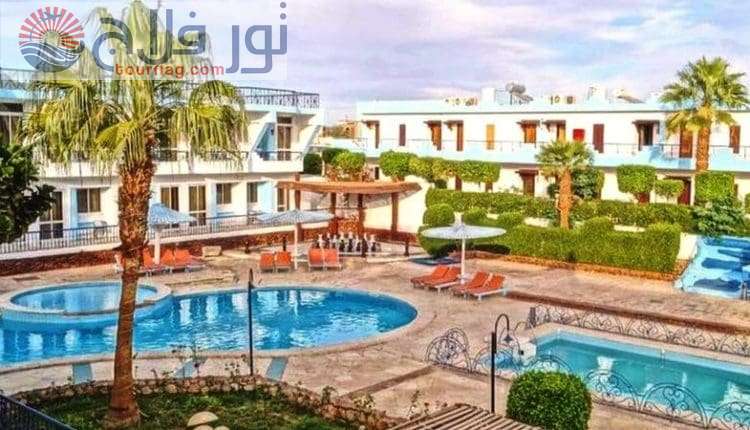 فندق ارابيسك- رحلات شرم الشيخ