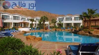 فنجق ايكوتيل دهب برامج دهب