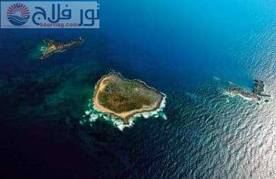 محمية جزر النخيل الطبيعية السياحة في طرابلس لبنان